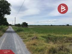 ขายที่ดิน เนื้อที่ 3 ไร่ 2.2 ตารางวา ทับตีเหล็ก สุพรรณบุรี-202510161130161760589016837.jpg