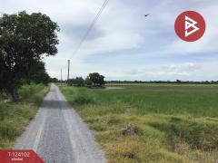 ขายที่ดิน เนื้อที่ 3 ไร่ 2.2 ตารางวา ทับตีเหล็ก สุพรรณบุรี-202510161130171760589017359.jpg