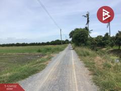 ขายที่ดิน เนื้อที่ 3 ไร่ 2.2 ตารางวา ทับตีเหล็ก สุพรรณบุรี-202510161130171760589017882.jpg