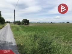 ขายที่ดิน เนื้อที่ 3 ไร่ 2.2 ตารางวา ทับตีเหล็ก สุพรรณบุรี-202510161130181760589018406.jpg