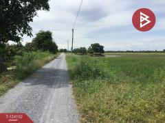 ขายที่ดิน เนื้อที่ 3 ไร่ 2.2 ตารางวา ทับตีเหล็ก สุพรรณบุรี-202510161130181760589018922.jpg