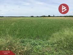 ขายที่ดิน เนื้อที่ 3 ไร่ 2.2 ตารางวา ทับตีเหล็ก สุพรรณบุรี-202510161130191760589019466.jpg