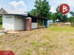 ขายที่ดินพร้อมสิ่งปลูกสร้าง เนื้อที่ 1 ไร่ 9 ตร.วา ปักธงชัย นครราชสีมา-202510161152021760590322919.jpg