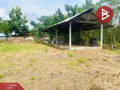 ขายที่ดินพร้อมสิ่งปลูกสร้าง เนื้อที่ 1 ไร่ 9 ตร.วา ปักธงชัย นครราชสีมา-202510161152031760590323492.jpg