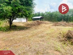 ขายที่ดินพร้อมสิ่งปลูกสร้าง เนื้อที่ 1 ไร่ 9 ตร.วา ปักธงชัย นครราชสีมา-202510161152041760590324046.jpg