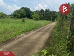 ขายที่ดินพร้อมสิ่งปลูกสร้าง เนื้อที่ 1 ไร่ 9 ตร.วา ปักธงชัย นครราชสีมา-202510161152071760590327228.jpg