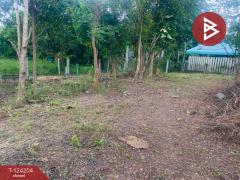 ขายที่ดินพร้อมสิ่งปลูกสร้าง เนื้อที่ 1 ไร่ 9 ตร.วา ปักธงชัย นครราชสีมา-202510161152081760590328181.jpg