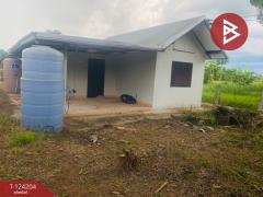 ขายที่ดินพร้อมสิ่งปลูกสร้าง เนื้อที่ 1 ไร่ 9 ตร.วา ปักธงชัย นครราชสีมา-202510161152081760590328722.jpg