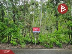  ขายที่ดิน เนื้อที่ 11 ไร่ 1 งาน 17 ตร.วา นาสีนวน มุกดาหาร