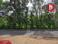  ขายที่ดิน เนื้อที่ 11 ไร่ 1 งาน 17 ตร.วา นาสีนวน มุกดาหาร-202510161244421760593482370.jpg