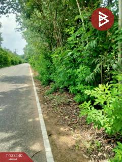  ขายที่ดิน เนื้อที่ 11 ไร่ 1 งาน 17 ตร.วา นาสีนวน มุกดาหาร-202510161244421760593482926.jpg