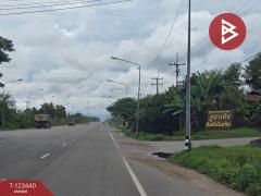  ขายที่ดิน เนื้อที่ 11 ไร่ 1 งาน 17 ตร.วา นาสีนวน มุกดาหาร-202510161244451760593485664.jpg