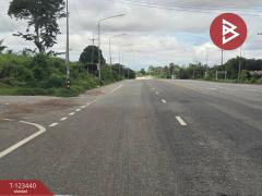  ขายที่ดิน เนื้อที่ 11 ไร่ 1 งาน 17 ตร.วา นาสีนวน มุกดาหาร-202510161244461760593486201.jpg