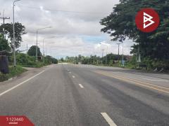  ขายที่ดิน เนื้อที่ 11 ไร่ 1 งาน 17 ตร.วา นาสีนวน มุกดาหาร-202510161244461760593486740.jpg