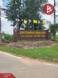  ขายที่ดิน เนื้อที่ 11 ไร่ 1 งาน 17 ตร.วา นาสีนวน มุกดาหาร-202510161244471760593487281.jpg