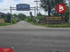  ขายที่ดิน เนื้อที่ 11 ไร่ 1 งาน 17 ตร.วา นาสีนวน มุกดาหาร-202510161244481760593488171.jpg