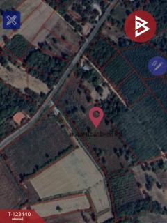  ขายที่ดิน เนื้อที่ 11 ไร่ 1 งาน 17 ตร.วา นาสีนวน มุกดาหาร-202510161244481760593488868.jpg