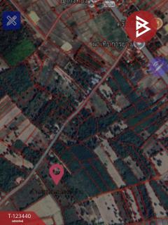  ขายที่ดิน เนื้อที่ 11 ไร่ 1 งาน 17 ตร.วา นาสีนวน มุกดาหาร-202510161244491760593489955.jpg