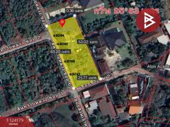 ขายที่ดิน เนื้อที่ 1 ไร่ สันทราย เชียงใหม่-202510161331211760596281841.jpg