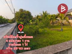 ขายที่ดิน เนื้อที่ 1 ไร่ สันทราย เชียงใหม่-202510161331251760596285187.jpg