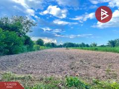 ขายที่ดินถมแล้ว เนื้อที่ 29 ไร่ 44 ตารางวา กาฬสินธุ์-202510161404001760598240547.jpg