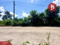 ขายที่ดินถมแล้ว เนื้อที่ 29 ไร่ 44 ตารางวา กาฬสินธุ์-202510161404031760598243203.jpg