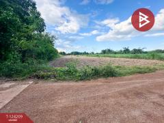 ขายที่ดินถมแล้ว เนื้อที่ 29 ไร่ 44 ตารางวา กาฬสินธุ์-202510161404031760598243748.jpg