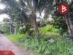  ขายที่ดินพร้อมสิ่งปลูกสร้าง เนื้อที่ 2 ไร่ 1 งาน 50 ตารางวา คลองสามวา กรุงเทพมหานคร-202510161421021760599262977.jpg