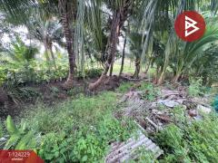  ขายที่ดินพร้อมสิ่งปลูกสร้าง เนื้อที่ 2 ไร่ 1 งาน 50 ตารางวา คลองสามวา กรุงเทพมหานคร-202510161421031760599263581.jpg