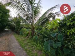  ขายที่ดินพร้อมสิ่งปลูกสร้าง เนื้อที่ 2 ไร่ 1 งาน 50 ตารางวา คลองสามวา กรุงเทพมหานคร-202510161421041760599264663.jpg