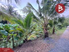  ขายที่ดินพร้อมสิ่งปลูกสร้าง เนื้อที่ 2 ไร่ 1 งาน 50 ตารางวา คลองสามวา กรุงเทพมหานคร-202510161421051760599265195.jpg