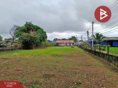 ขายที่ดินพร้อมสิ่งปลูกสร้าง เนื้อที่ 3 งาน 59 ตารางวา แหลมสิงห์ จันทบุรี-202510161437421760600262088.jpg