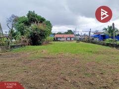 ขายที่ดินพร้อมสิ่งปลูกสร้าง เนื้อที่ 3 งาน 59 ตารางวา แหลมสิงห์ จันทบุรี-202510161437421760600262648.jpg