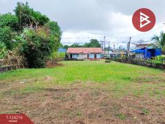 ขายที่ดินพร้อมสิ่งปลูกสร้าง เนื้อที่ 3 งาน 59 ตารางวา แหลมสิงห์ จันทบุรี-202510161437431760600263189.jpg