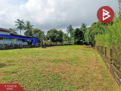 ขายที่ดินพร้อมสิ่งปลูกสร้าง เนื้อที่ 3 งาน 59 ตารางวา แหลมสิงห์ จันทบุรี-202510161437431760600263717.jpg