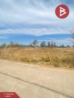 ขายที่ดินเปล่า เนื้อที่ 10 ไร่ 2 งาน 81 ตารางวา ต.บุ่ง อำนาจเจริญ-202510161455021760601302498.jpg