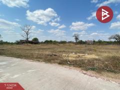 ขายที่ดินเปล่า เนื้อที่ 10 ไร่ 2 งาน 81 ตารางวา ต.บุ่ง อำนาจเจริญ-202510161455031760601303902.jpg