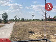 ขายที่ดินเปล่า เนื้อที่ 10 ไร่ 2 งาน 81 ตารางวา ต.บุ่ง อำนาจเจริญ-202510161455041760601304924.jpg