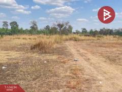 ขายที่ดินเปล่า เนื้อที่ 10 ไร่ 2 งาน 81 ตารางวา ต.บุ่ง อำนาจเจริญ-202510161455061760601306289.jpg