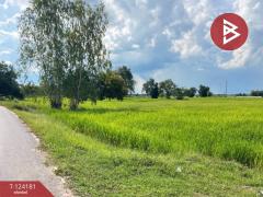 ขายที่ดิน เนื้อที่ 11 ไร่ 1 งาน 3 ตร.วา สำโรงทาบ สุรินทร์-202510161500071760601607716.jpg