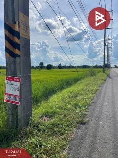 ขายที่ดิน เนื้อที่ 11 ไร่ 1 งาน 3 ตร.วา สำโรงทาบ สุรินทร์-202510161500091760601609814.jpg