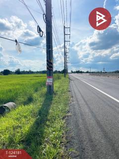 ขายที่ดิน เนื้อที่ 11 ไร่ 1 งาน 3 ตร.วา สำโรงทาบ สุรินทร์-202510161500101760601610343.jpg