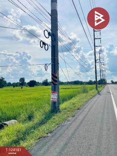 ขายที่ดิน เนื้อที่ 11 ไร่ 1 งาน 3 ตร.วา สำโรงทาบ สุรินทร์-202510161500111760601611164.jpg