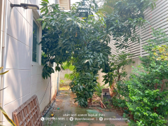 ให้เช่า!! บ้านแฝด 2 ชั้น ศุภาลัยวิลล์ ศรีสมาน ( ขนาด 39 ตร.ว.) ปทุมธานี ใกล้โรบินสัน ศรีสมาน : Supalai Ville Srisaman-Pathumthani-202510161506421760602002242.png