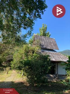 ขายบ้านเดี่ยวพร้อมที่ดิน เนื้อที่ 2 ไร่ 2 งาน 83 ตารางวา แม่แตง เชียงใหม่-202510161516431760602603397.jpg