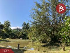 ขายบ้านเดี่ยวพร้อมที่ดิน เนื้อที่ 2 ไร่ 2 งาน 83 ตารางวา แม่แตง เชียงใหม่-202510161516441760602604471.jpg