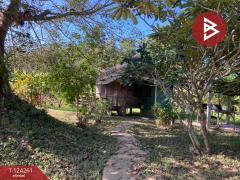 ขายบ้านเดี่ยวพร้อมที่ดิน เนื้อที่ 2 ไร่ 2 งาน 83 ตารางวา แม่แตง เชียงใหม่-202510161516441760602604992.jpg