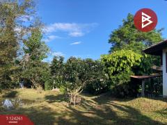 ขายบ้านเดี่ยวพร้อมที่ดิน เนื้อที่ 2 ไร่ 2 งาน 83 ตารางวา แม่แตง เชียงใหม่-202510161516461760602606047.jpg