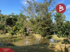 ขายบ้านเดี่ยวพร้อมที่ดิน เนื้อที่ 2 ไร่ 2 งาน 83 ตารางวา แม่แตง เชียงใหม่-202510161516471760602607610.jpg