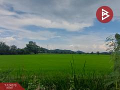 ขายที่ดิน เนื้อที่ 8 ไร่ 1 งาน 24.1 ตร.วา โพธาราม ราชบุรี-202510161535061760603706919.jpg